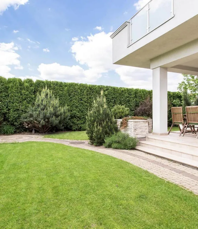 Onderhoud tuin met gras en haag