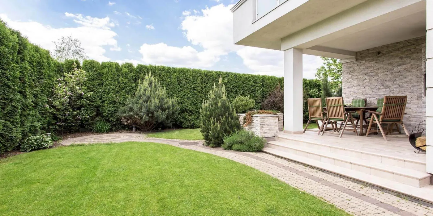 Onderhoud tuin met gras en haag